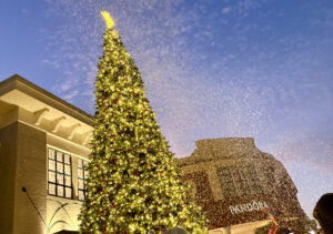 Experience Realistic Snow Anytime with Our Snow Machines