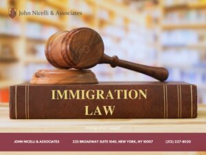 A 2025 Year in Review: Essential Insights from a NYC Immigration Lawyer