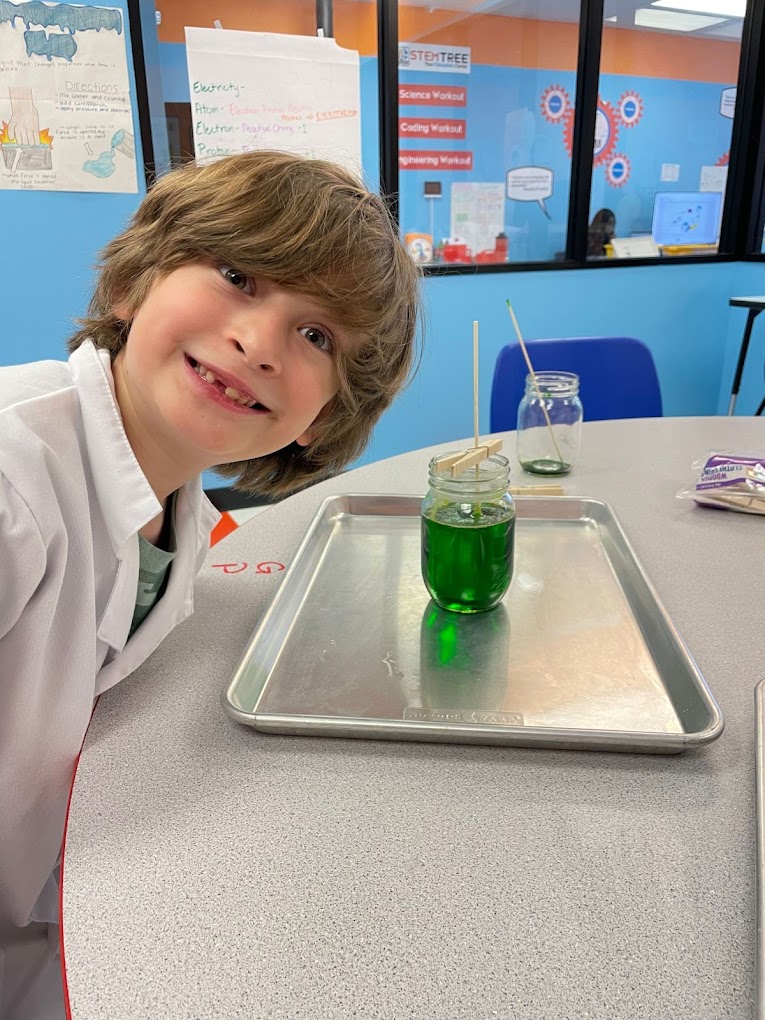 Stemtree of Spring TX Announces Enhanced Summer Camps Featuring Comprehensive STEM Curriculum